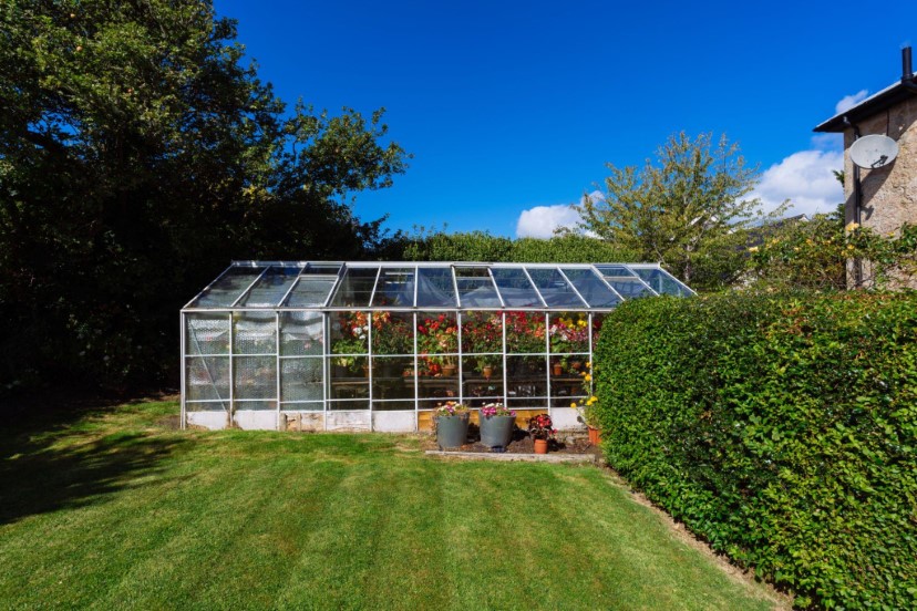 How Does A Greenhouse Work? - My Green House Tips