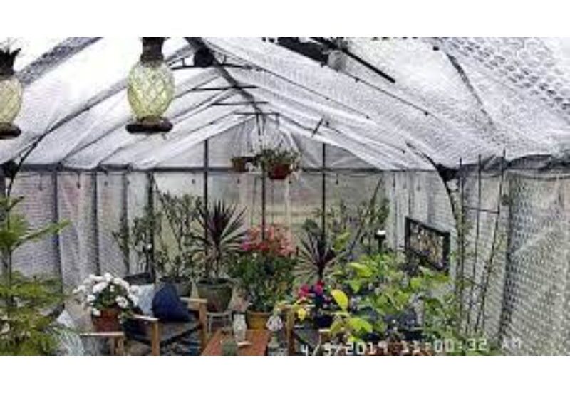 greenhouse-insulation-a-comprehensive-guide-my-green-house-tips