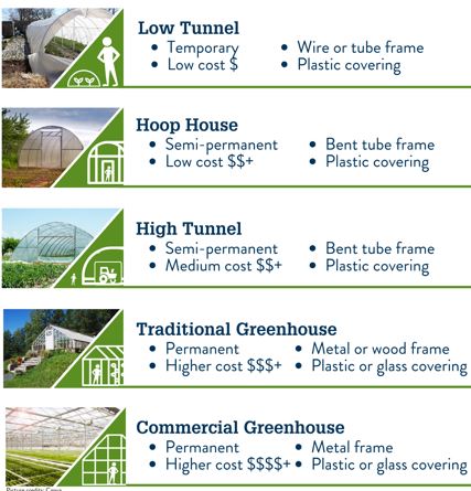 How Does A Greenhouse Work? - My Green House Tips