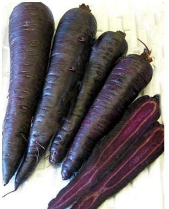 Black Carrots